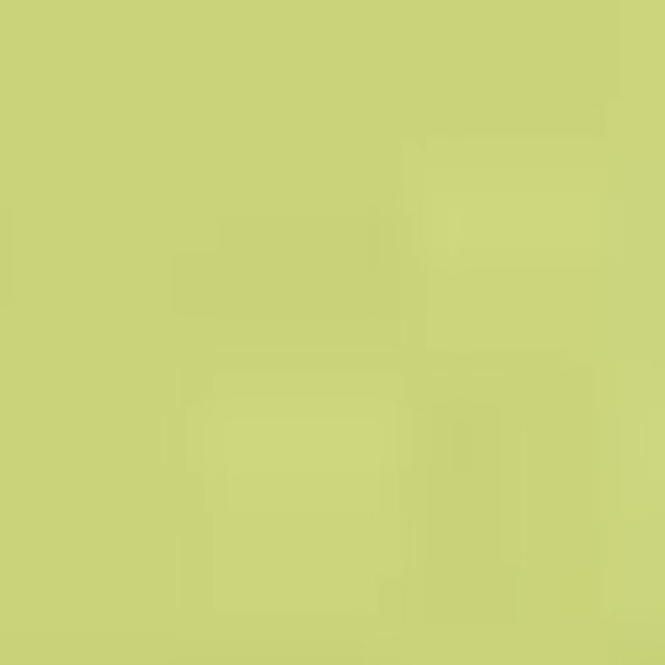 Hochwertiger Janine Mako-Satin KISSENBEZUG COLORS in verschiedenen Größen und Farben 40x80 cm apfelgrün 56